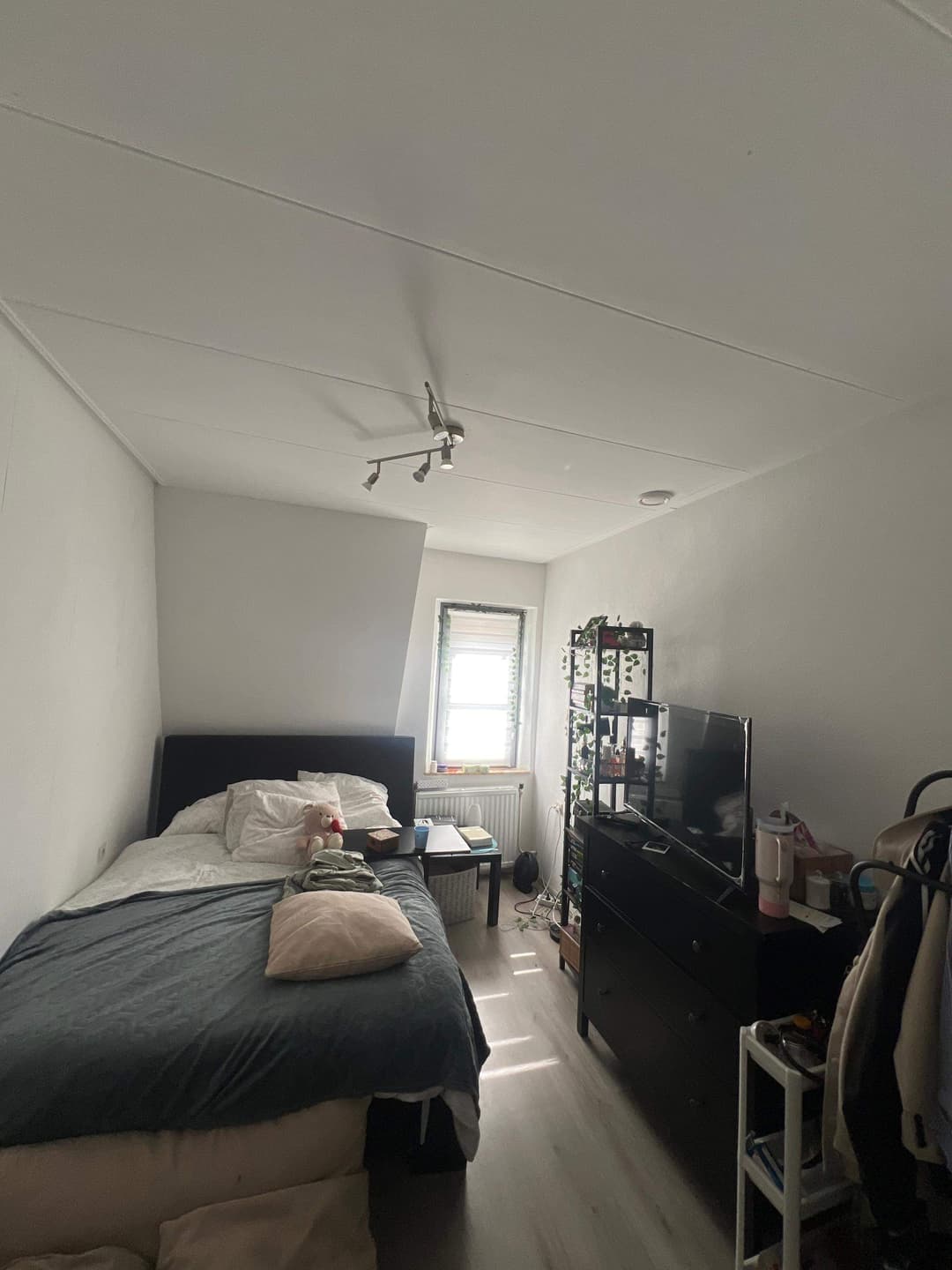 Chambre meublée Hoogveldweg, Meerssen - À louer