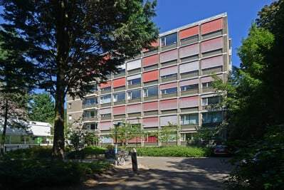 Appartement Goetlijfstraat, Den Haag - Te Huur