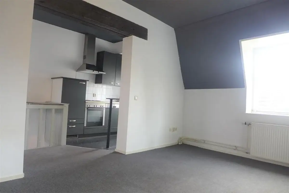 Habitación Sint Maartenslaan, Maastricht - En alquiler