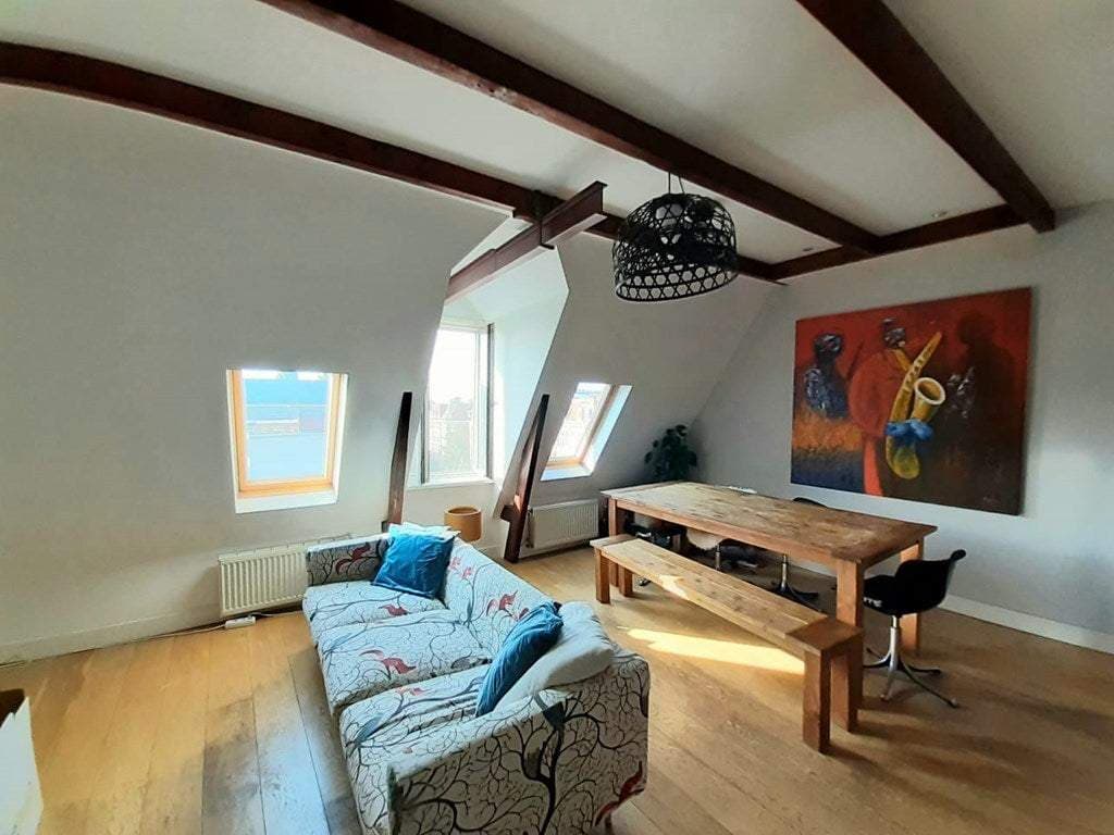 Flat Van Ostadestraat, Amsterdam - For Rent