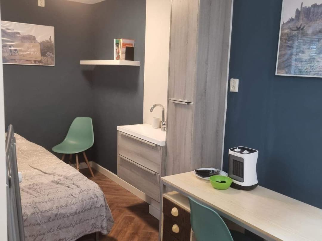 Habitación Moddermanlaan, Groningen - En alquiler