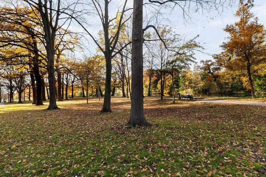 Gemeubileerde 3-kamer-appartement Bezuidenhoutseweg, Den Haag - Te Huur
