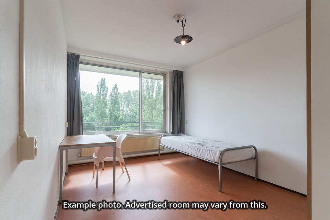 Studentenkamer Dijkgraaf, Wageningen - Te Huur