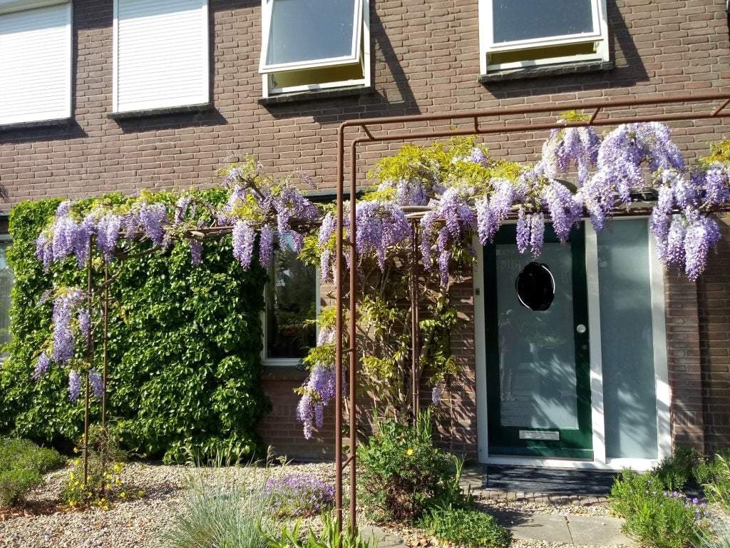 Wohnung Steenheuvelsestraat, Leuth - Zur Miete