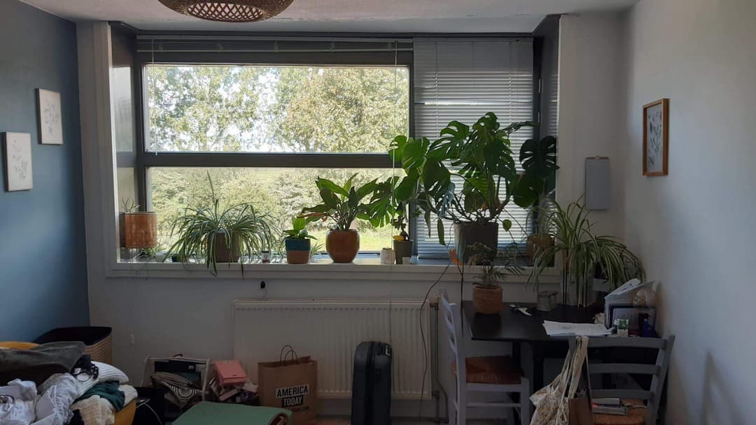 Chambre Dijkwacht, Leiderdorp - À louer