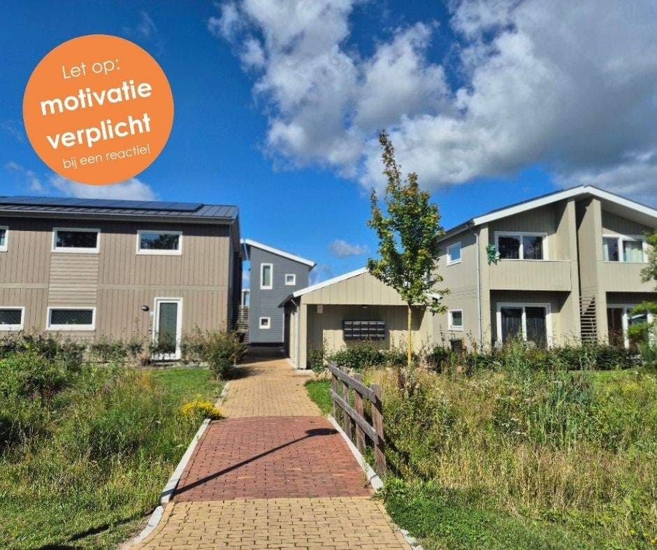 Omloop 59, Wijhe - For Rent