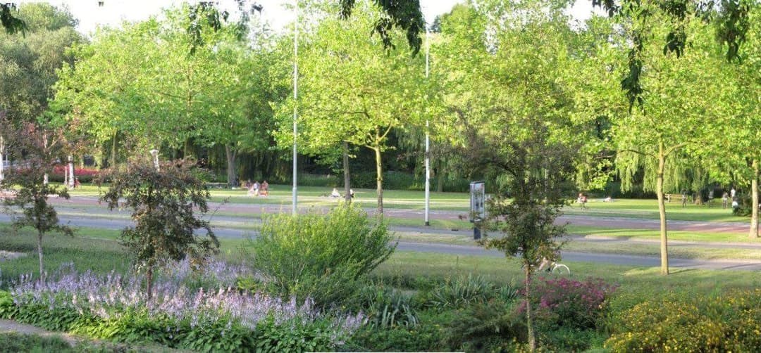 Studio Apartment August Sniederslaan, Eindhoven - For Rent