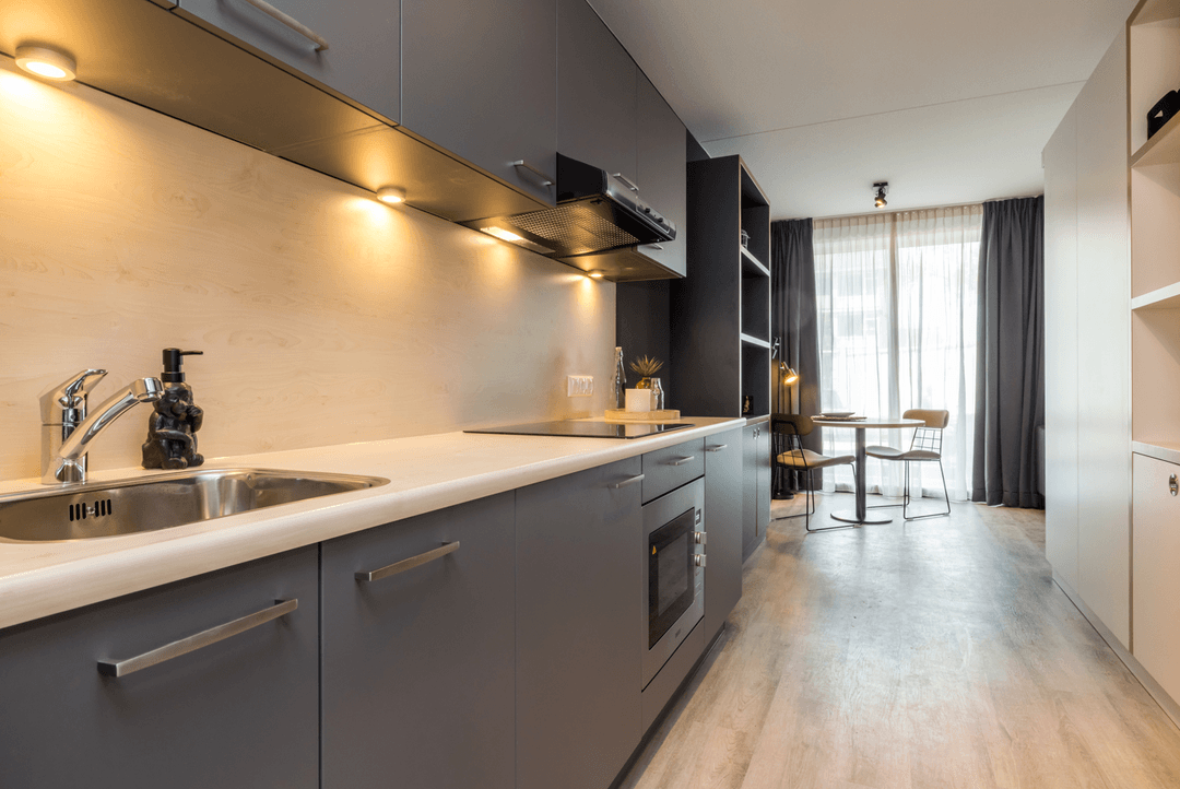 Apartment Jan de Oudeweg, Delft - For Rent