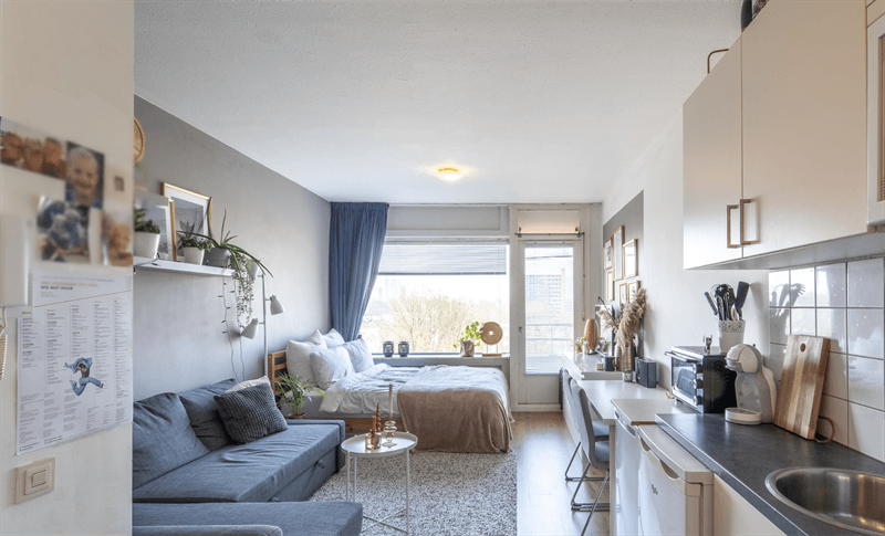 Studio Populierenlaan, Groningen - À Louer