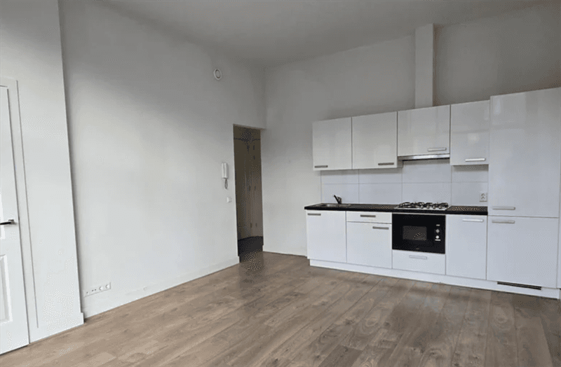 Apartment Regentesselaan, Den Haag - For Rent