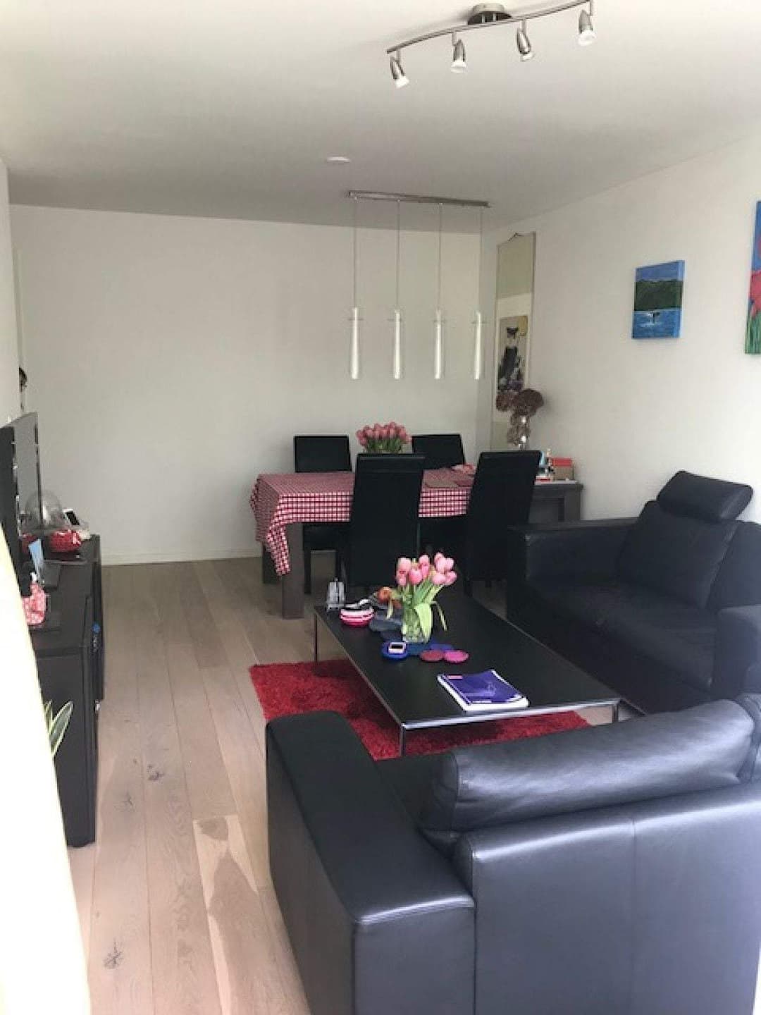 Flat Van Nijenrodeweg, Amsterdam - For Rent