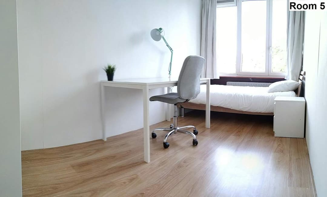 Kamer Paardebloem, Rotterdam - Te Huur