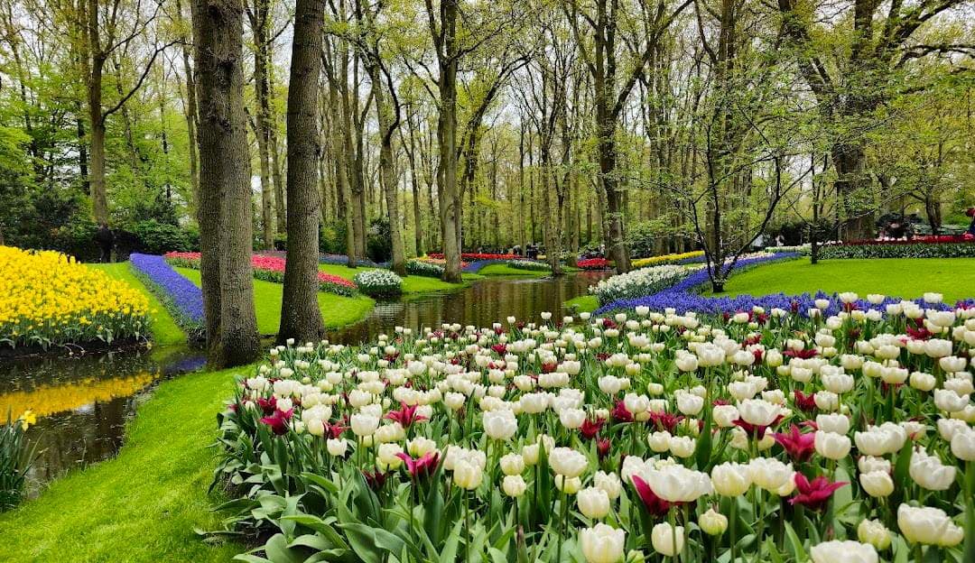 Zuid-Holland