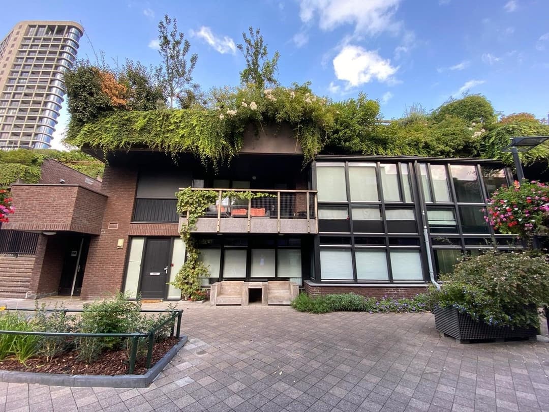 Flat 't College, Eindhoven - For Rent