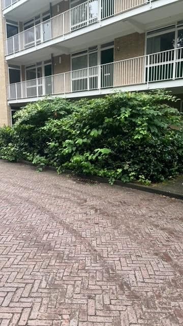 Studio Wohnung Ketsheuvel, Renkum - Zu Vermieten