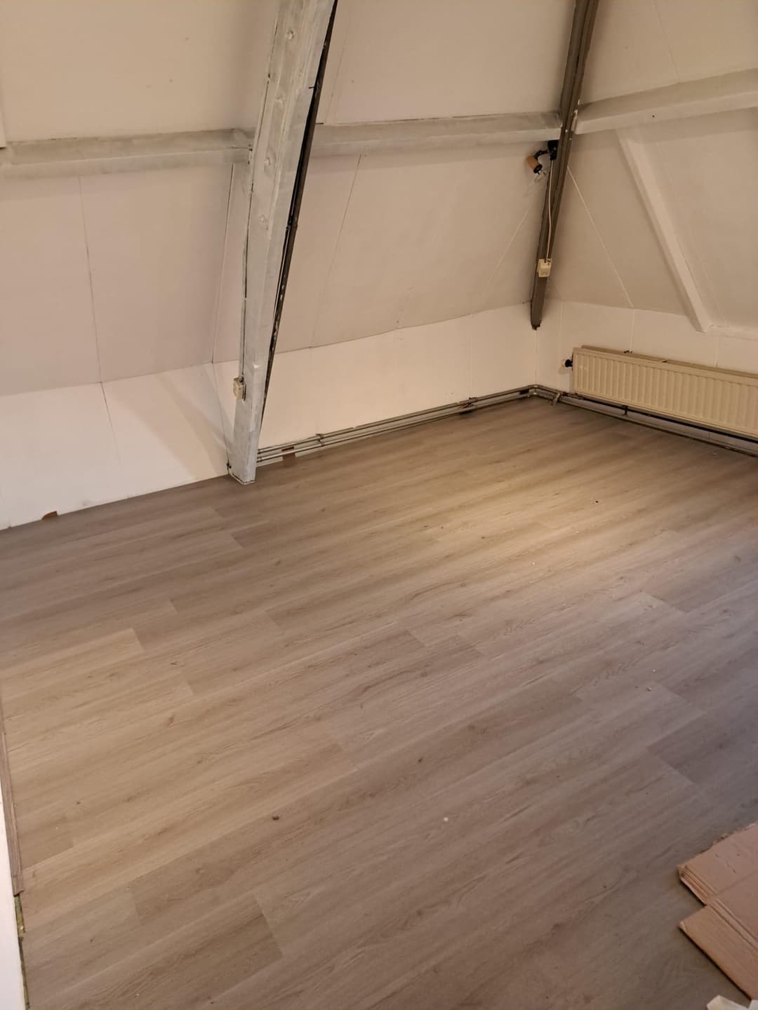 Uncarpeted Room for Rent, Oranje Plantage, Delft