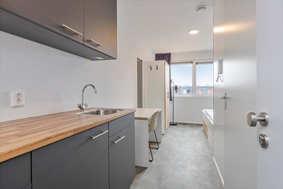 Estudio Amueblado en Alquiler, Sorbonnelaan, Maastricht
