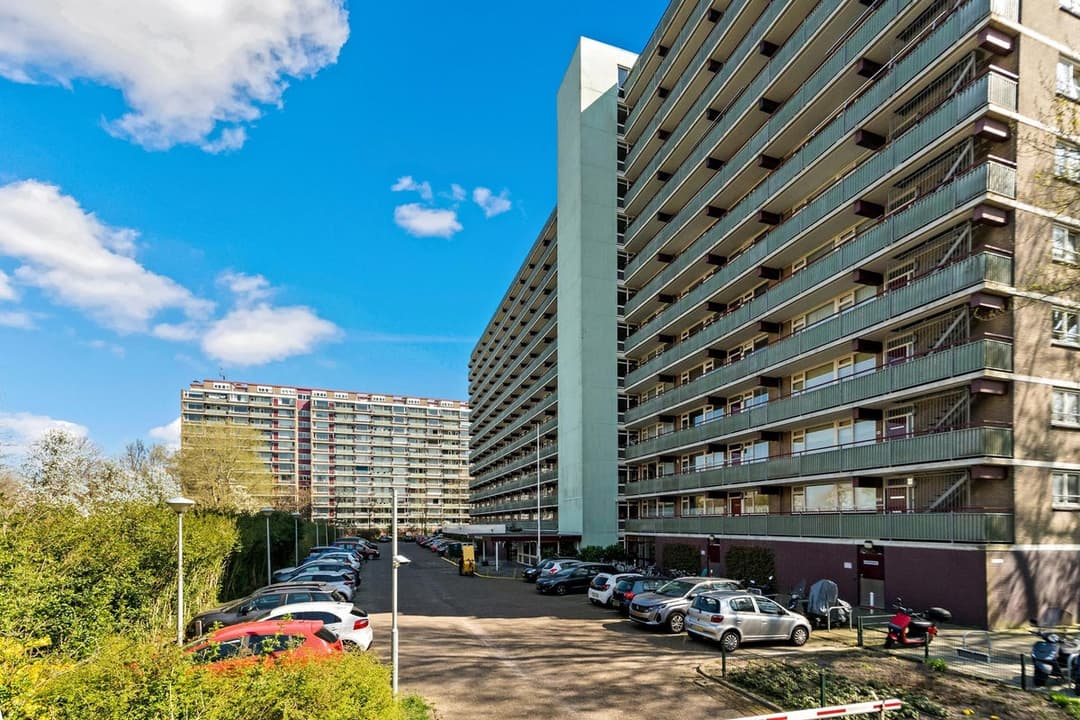 Flat Nieuwendamlaan, Den Haag - For Rent