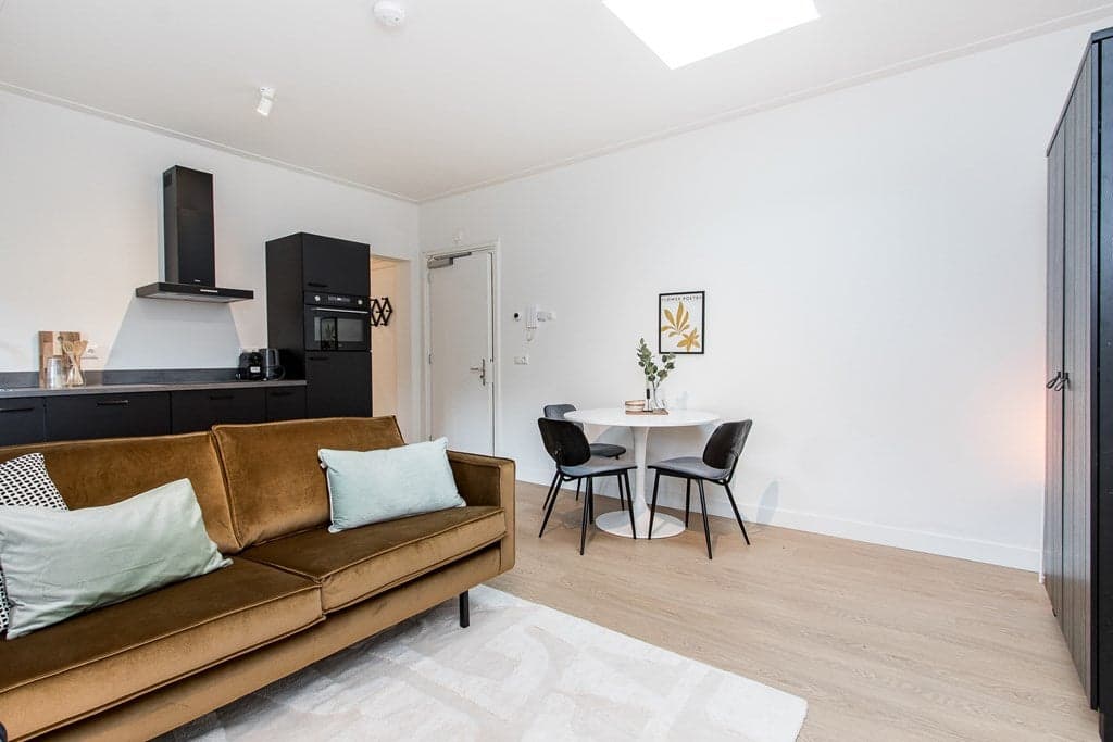Flat Kronenburgersingel, Nijmegen - For Rent