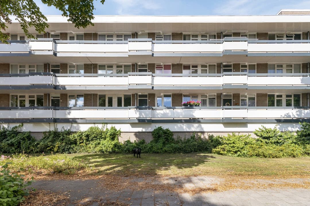 Flat Bolestein 276, Amsterdam - For Rent
