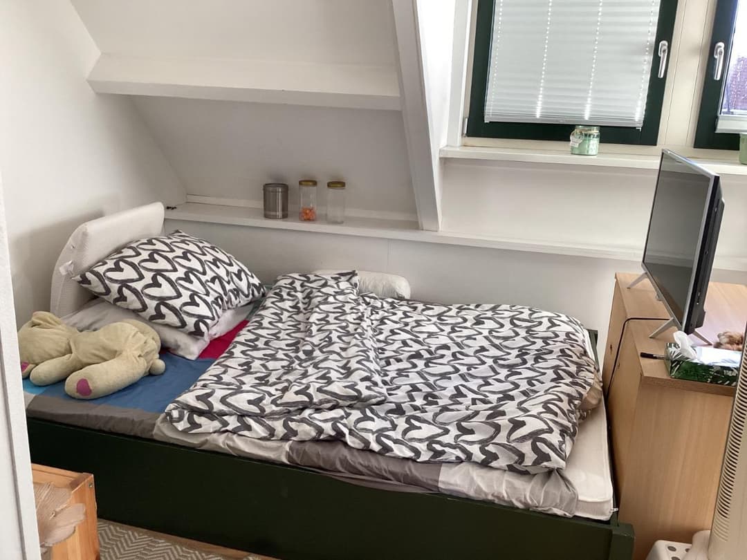 Furnished Room for Rent Alleeweg, Enschede