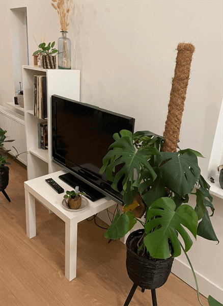 Appartement à louer St. Janstraat, Breda