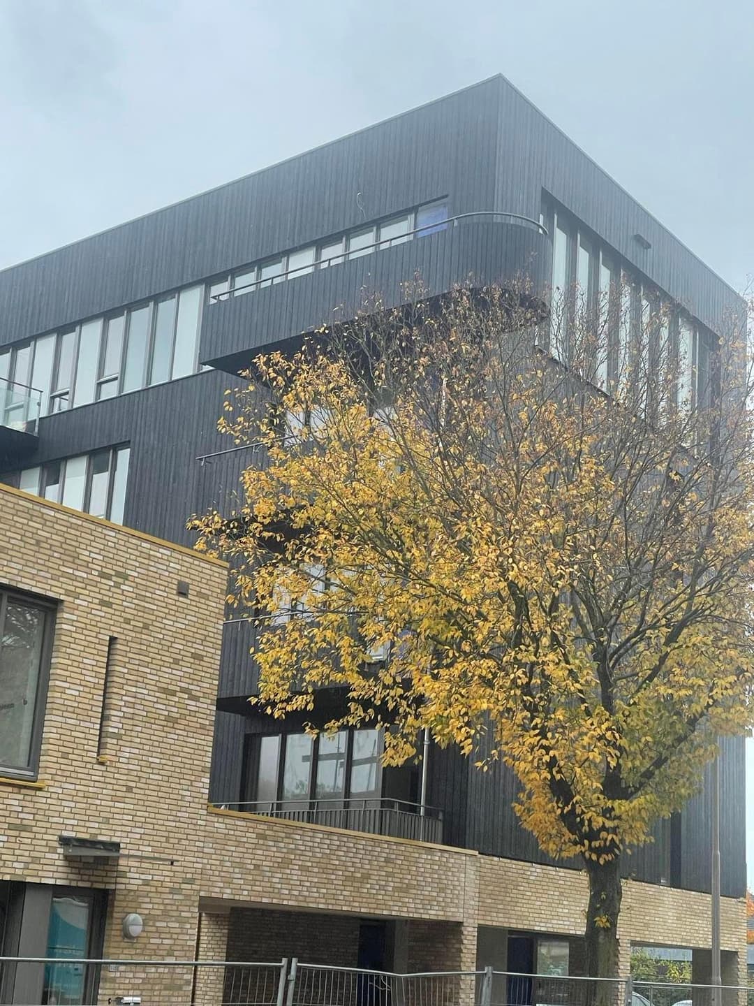 Habitación Amueblada en Alquiler Galjoenstraat, Tilburg