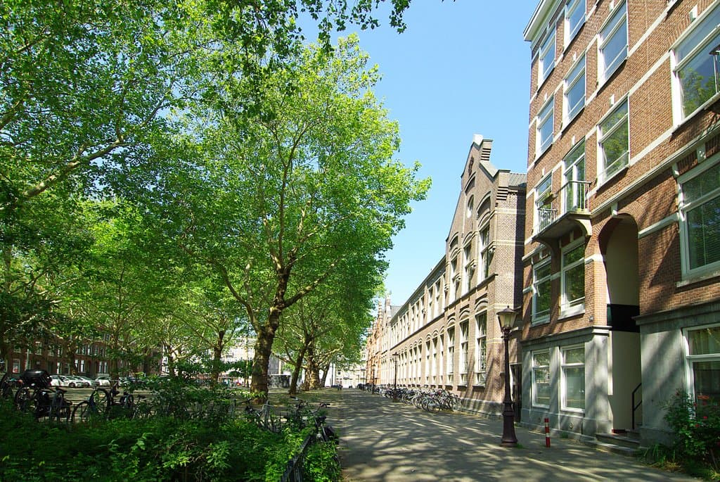 Appartement Van Oldenbarneveldtplein 8-31052 JM Amsterdam - À Louer