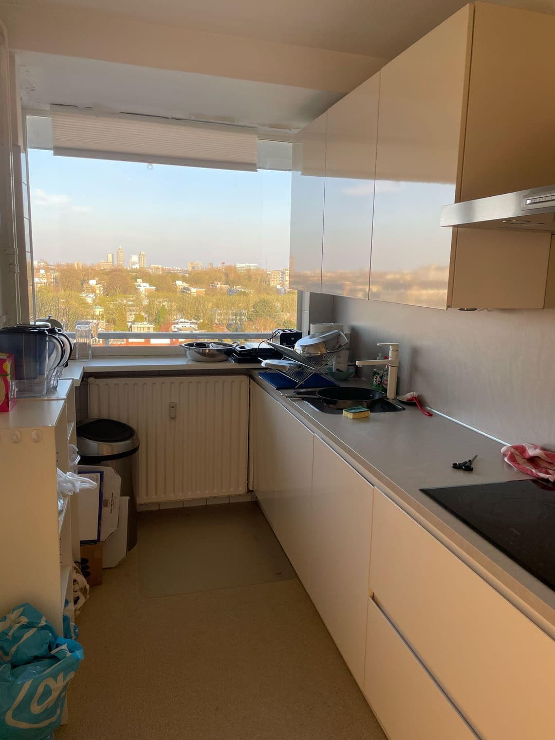 Habitación Amueblada en Alquiler Parnassusweg, Ámsterdam