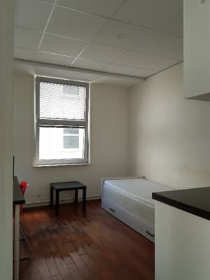 Studentenstudio Eisenhowerlaan 148, Den Haag - Zu Vermieten