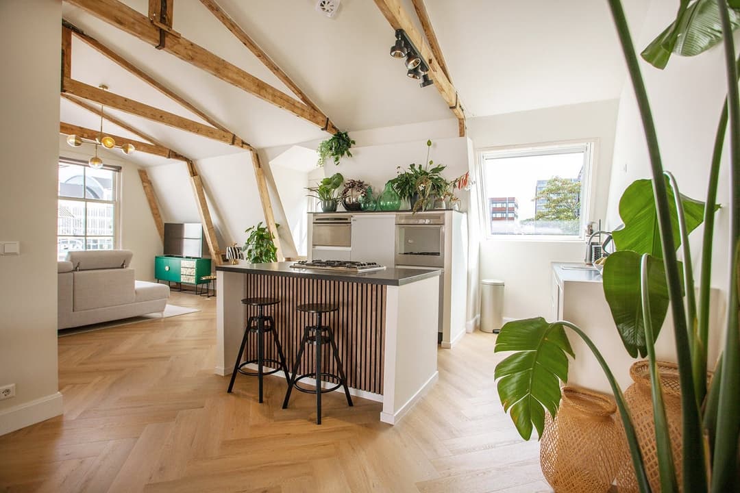 Appartement Kenaustraat, Haarlem - À Louer