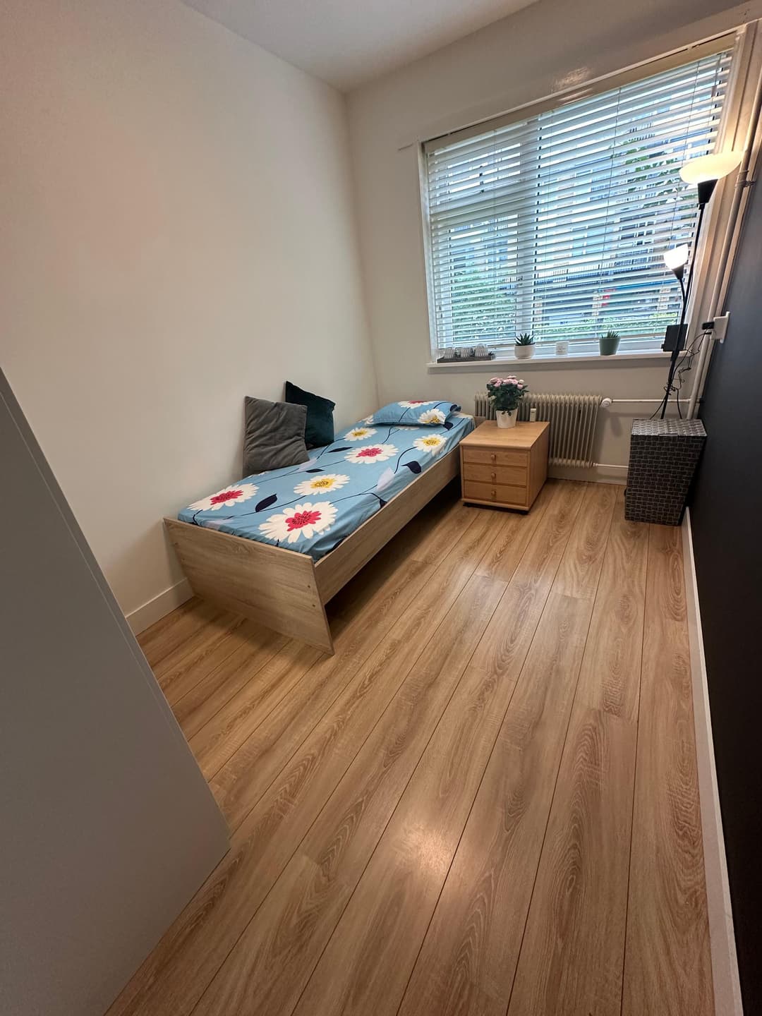 Furnished Room for Rent - Prinses Marijkestraat, Alphen aan den Rijn