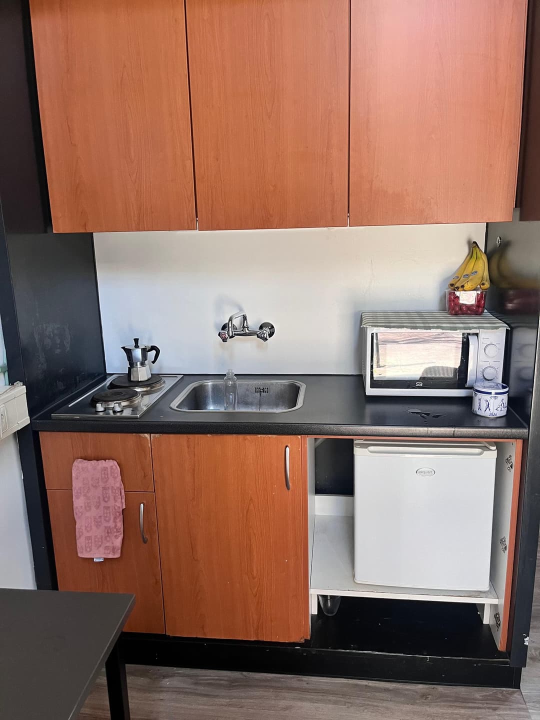 Furnished Studio for Rent, Kloosterpoort, Leiden