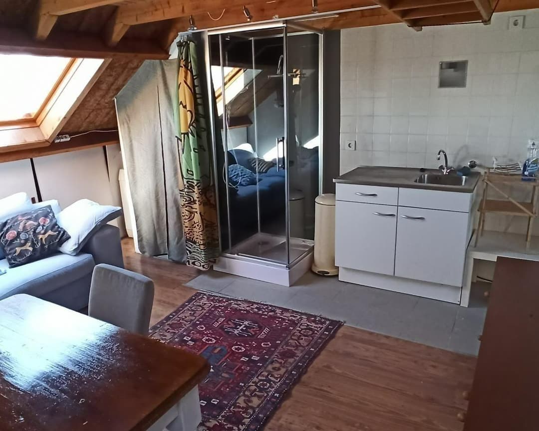 Furnished Studio Oranjeplantsoen, Diemen - For Rent