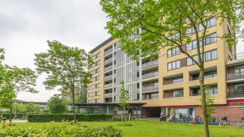 Flat Lasserstraat, Leiden - For Rent
