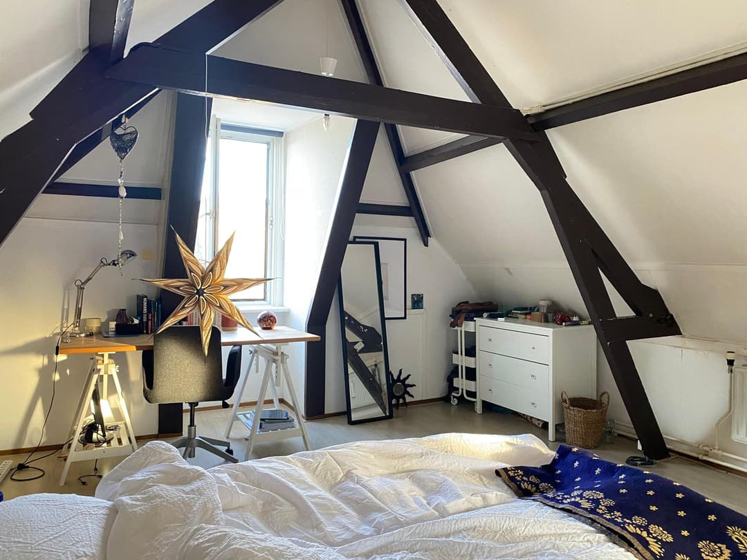 Habitación Amueblada en Alquiler, Prins Frederikstraat, Leiden