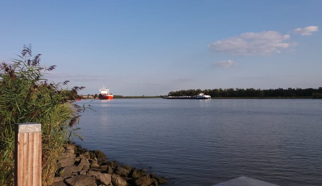 Hoeksche Waard