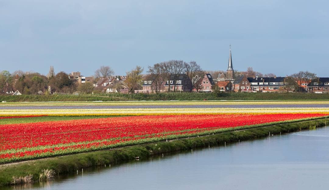 Hillegom