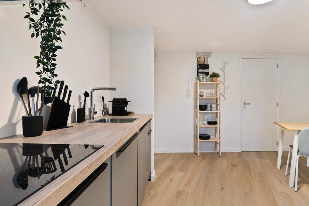 Flat Rosmolenplein, Tilburg - À louer