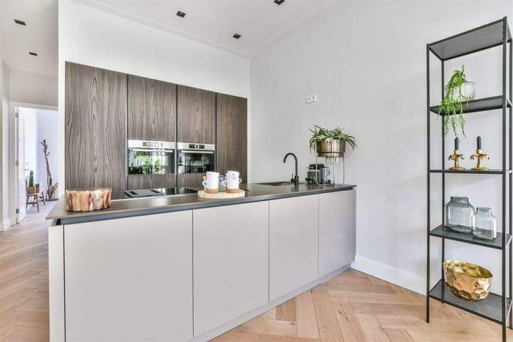 Apartment Koninginneweg, Amsterdam - For Rent