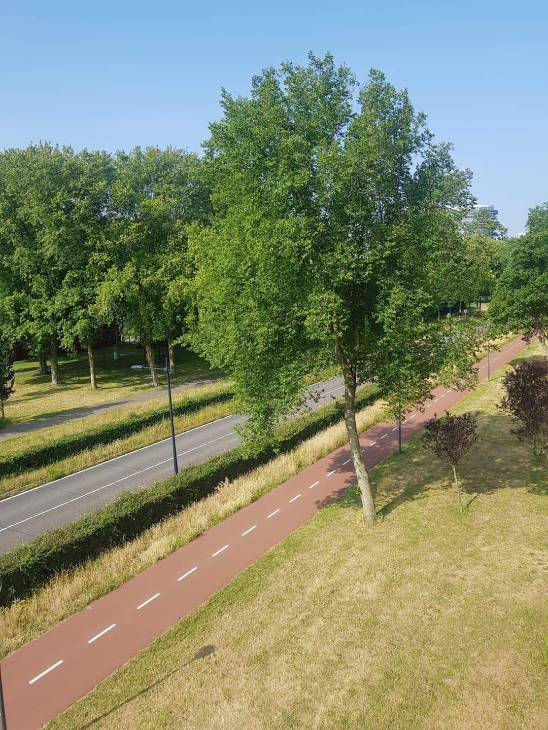 Flat Robert Kochlaan, Haarlem - For Rent