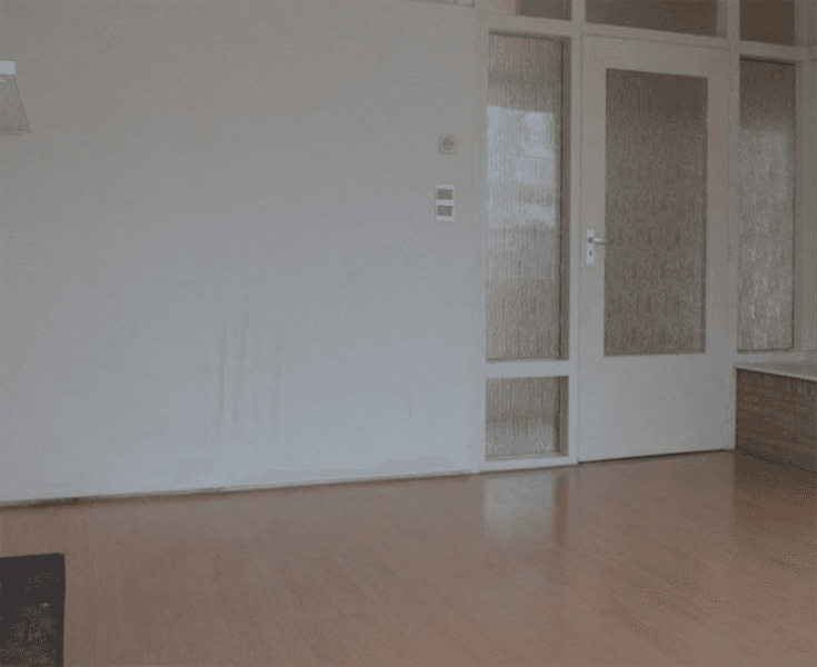 Apartment Landrestraat, Den Haag - For Rent