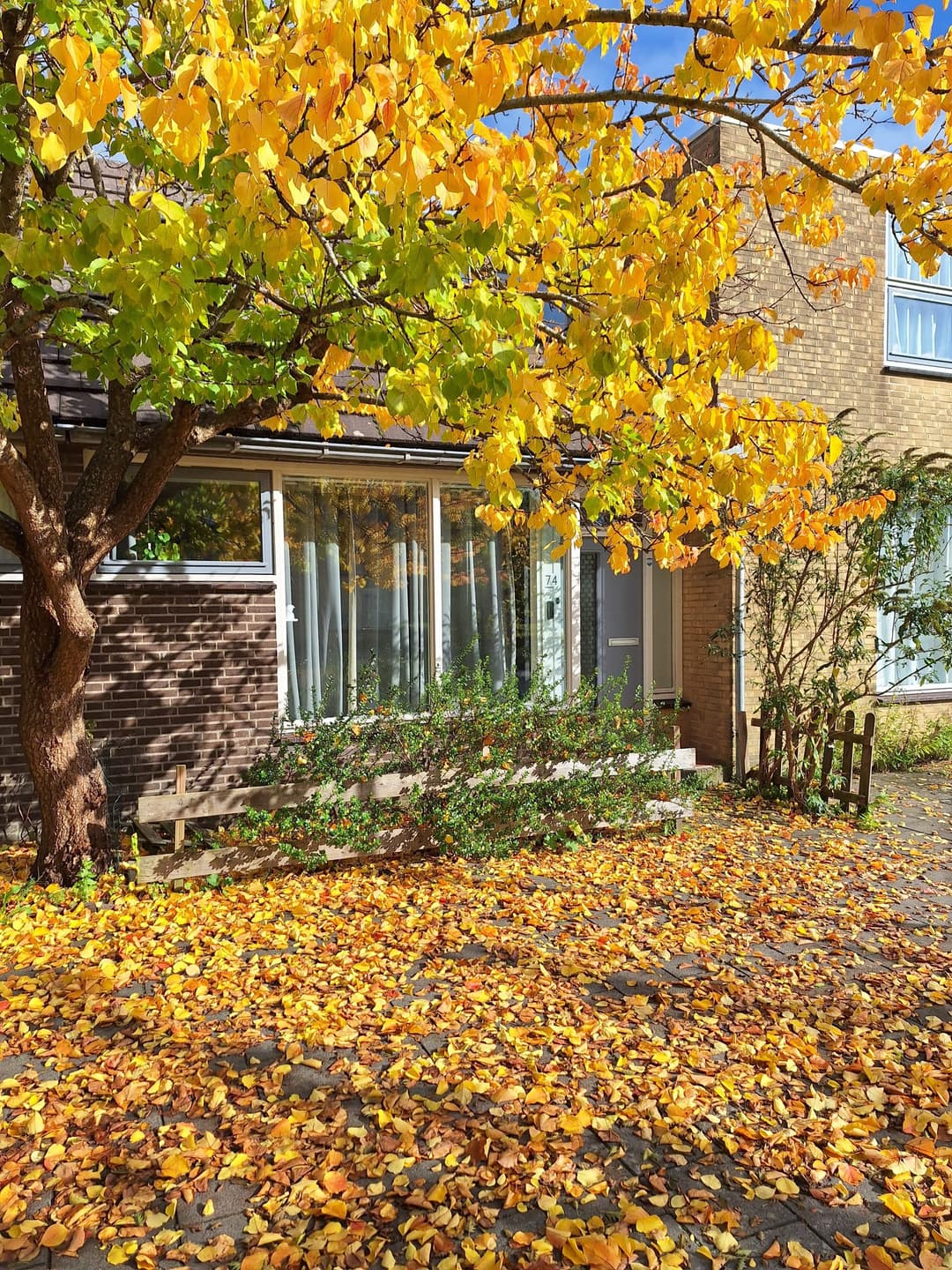 Spilstraat 74, Alkmaar - Te Huur