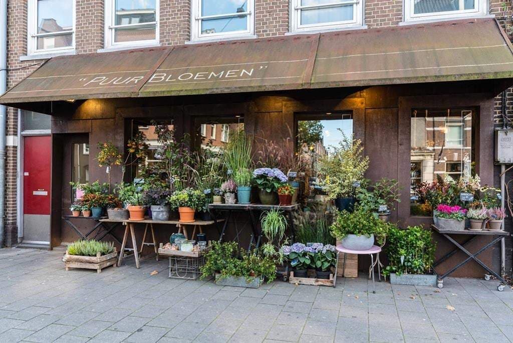 Wohnung Van Reigersbergenstraat, Amsterdam – Zur Vermietung