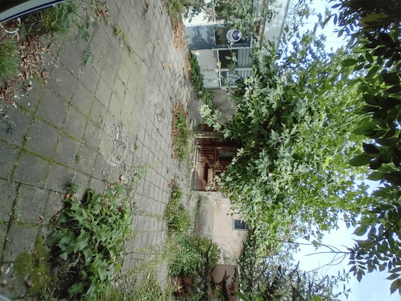 Room for Rent Offenbachstraat, Schijndel