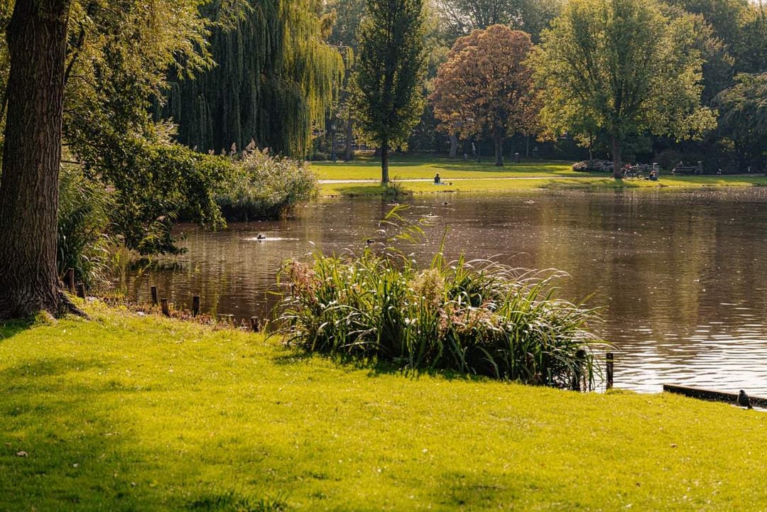 Apartamento Oosterpark, Ámsterdam - En alquiler