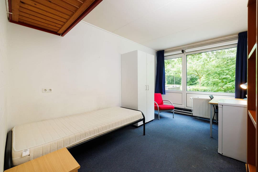 Kamer Witbreuksweg, Enschede - Te huur