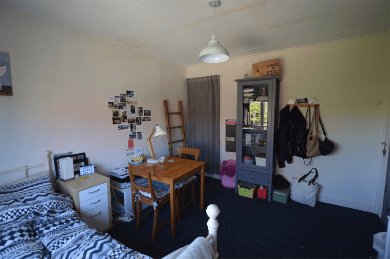 Chambre à louer Korenbloemstraat, Zwolle