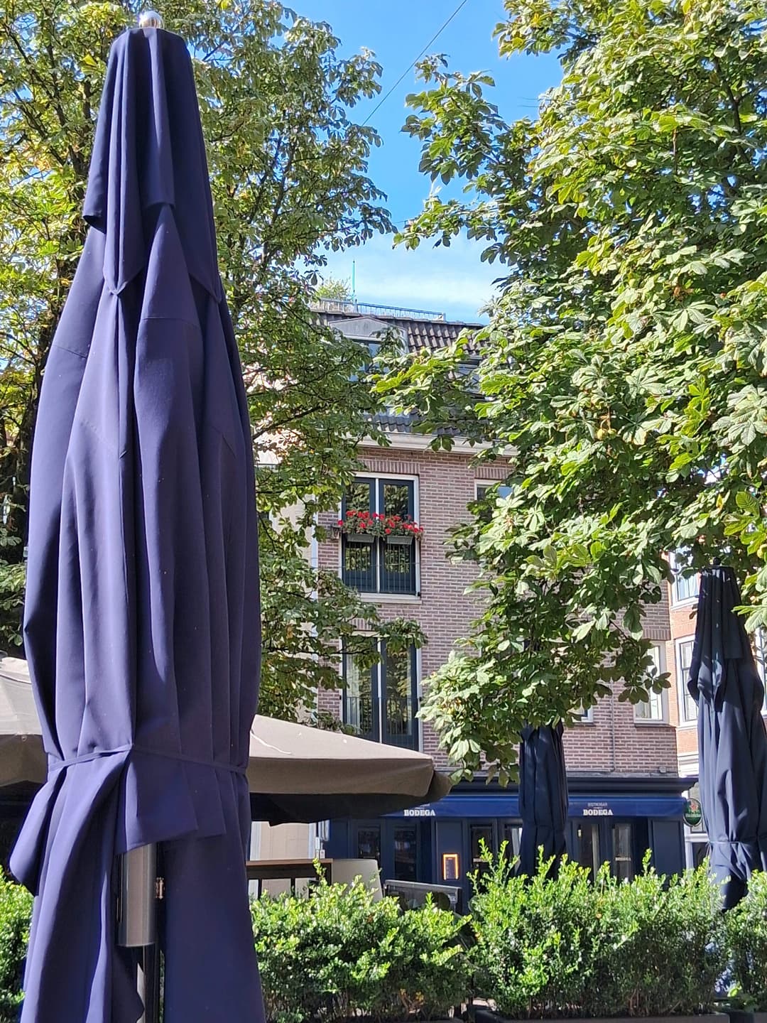 Kamer te huur aan de Bloemendalstraat, Zwolle