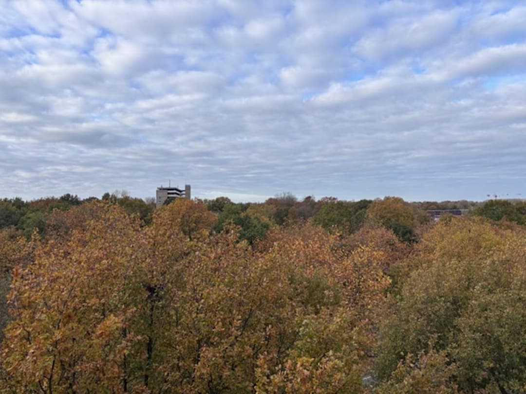 Apartamento Medicijnstraat, Oss - En alquiler